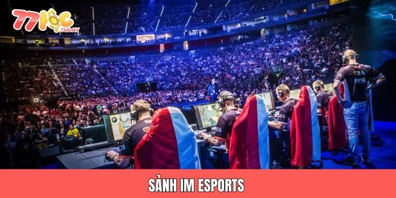Sảnh IM Esports 